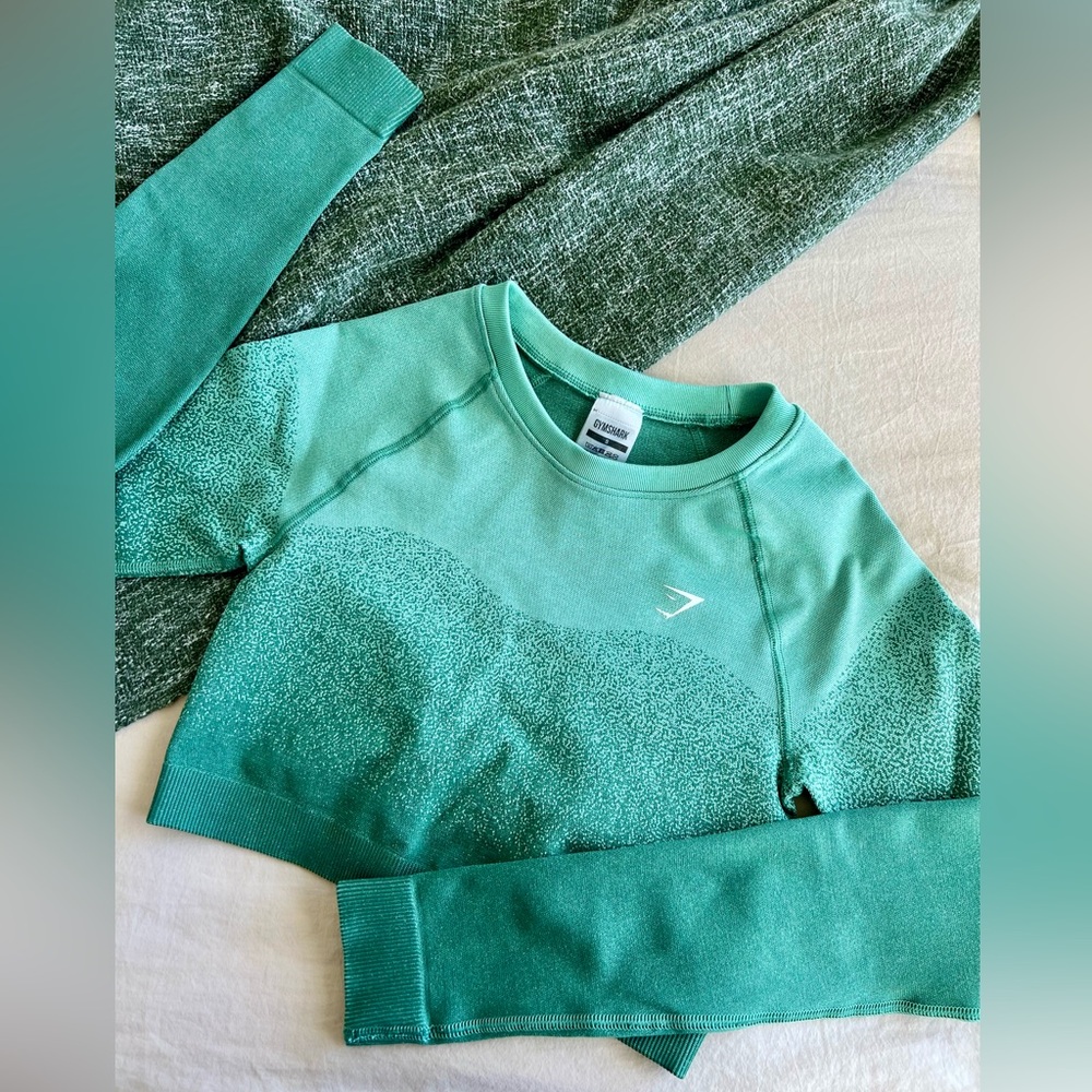 GYMSHARK Adapt Ombré Seamless Long Sleeve Crop Top